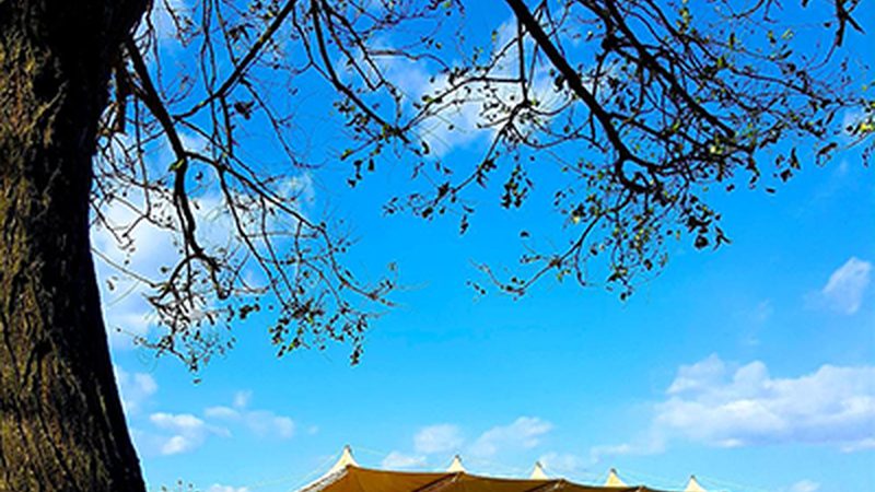 国产电子元器件：替代进口的种类与分类解析