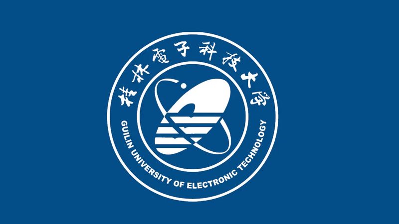 电子科技公司代理政策的利与弊**