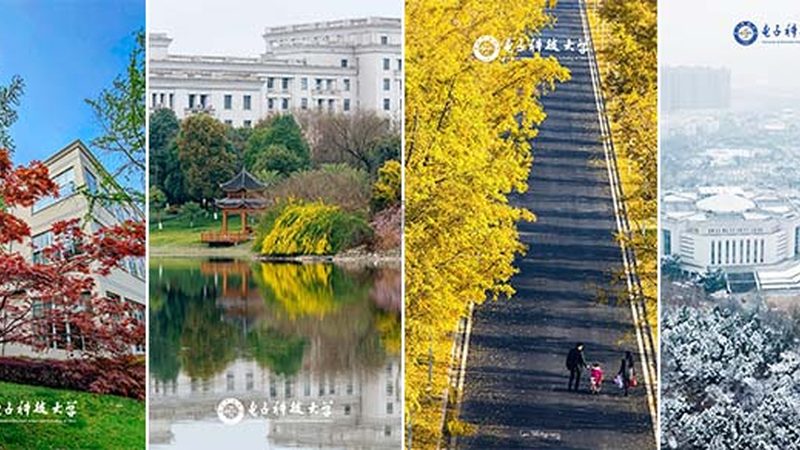 电子产品研发流程费用解析：揭秘成本构成与控制策略**