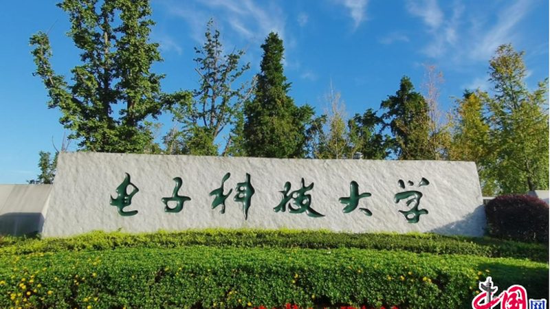 高频三极管：揭秘成都地区优质生产厂商**